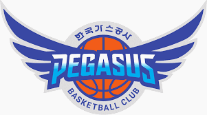 Daegu KoGas Pegasus Kosárlabda