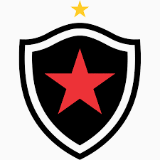 Botafogo FC Labdarúgás